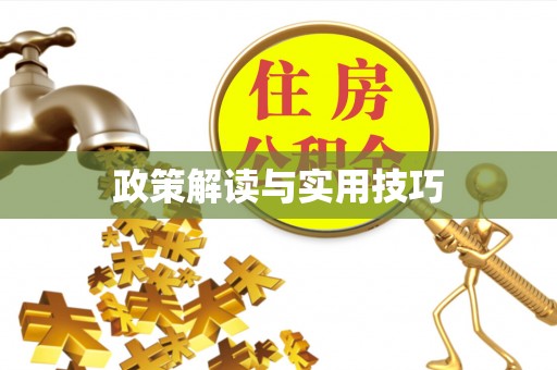 雄关政策解读与实用技巧