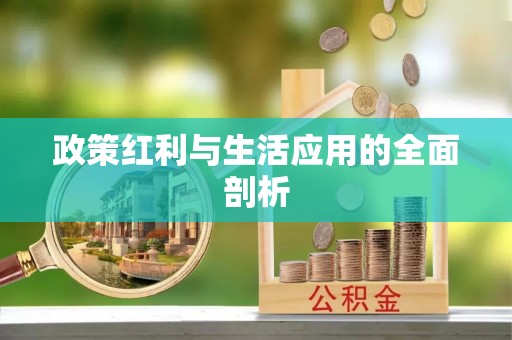 雄关政策红利与生活应用的全面剖析